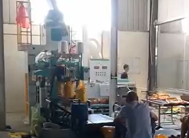 懸掛式行走升降旋轉裝車(chē)機